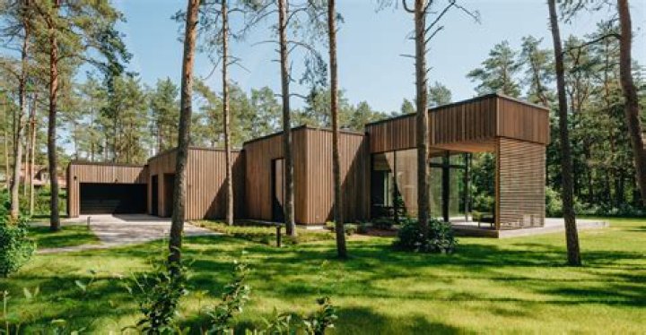 Kaido Kalm Biography, Age, Height, Wife, Net Worth, Family