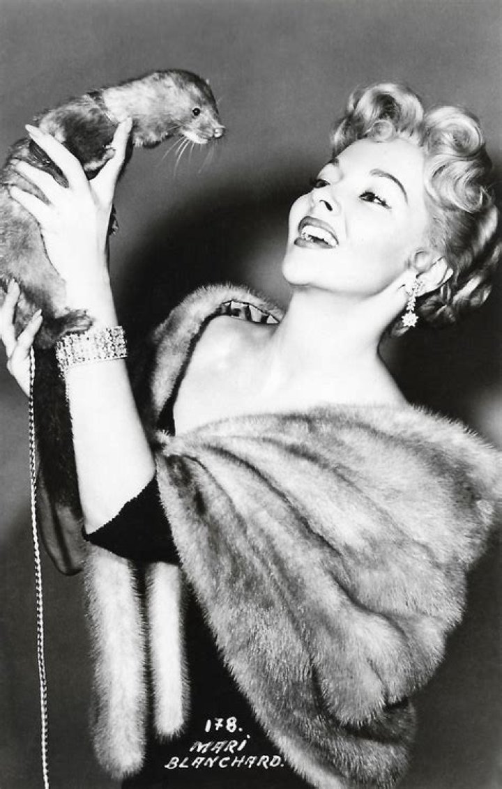 Mari Blanchard biografía, edad, altura, esposa, net worth, familia