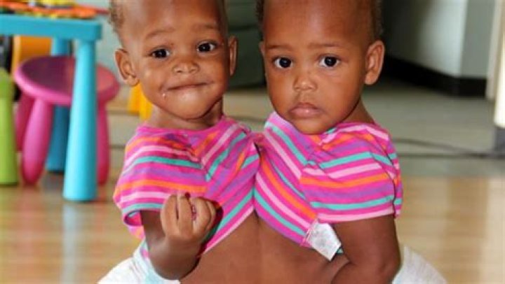 Maria and Teresa Tapia Biography, Age, Height, Wife, Net Worth, Family