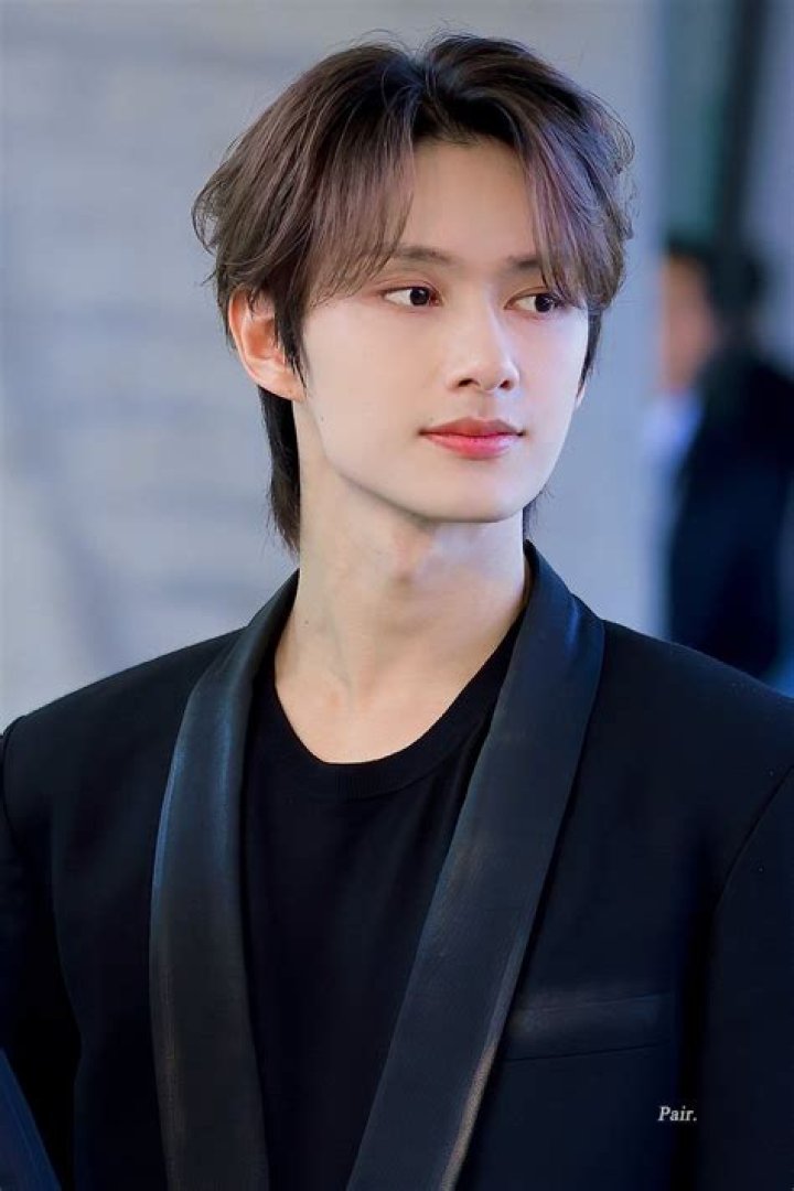 Wen Junhui Biography, Age, Height, Wife, Net Worth, Family